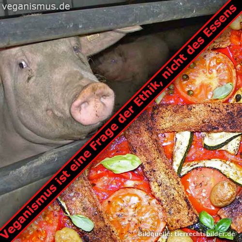 Veganismus ist eine Frage der Ethik, nicht des Essens