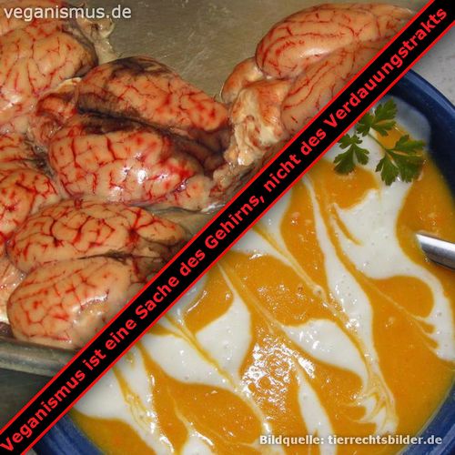 Veganismus ist eine Sache des Gehirns, nicht des Verdauungstrakts